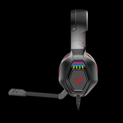 BH-306
